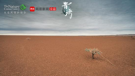 网易东方侠客独立新游《青璃》明日iOS正式上线(图4)